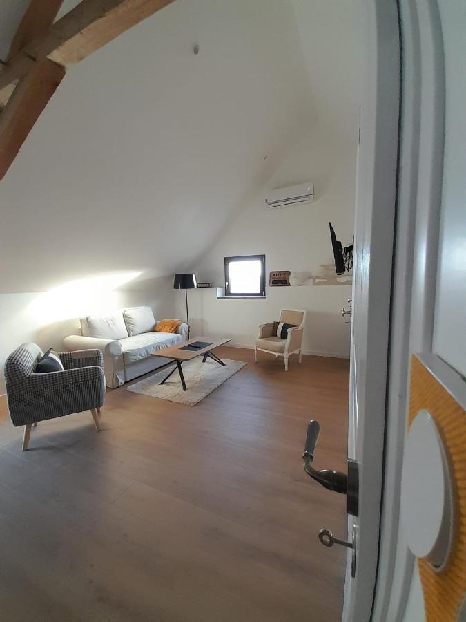 Apartament Le Repaire De Bacchus Saint-Nicolas-de-Bourgueil Zewnętrze zdjęcie