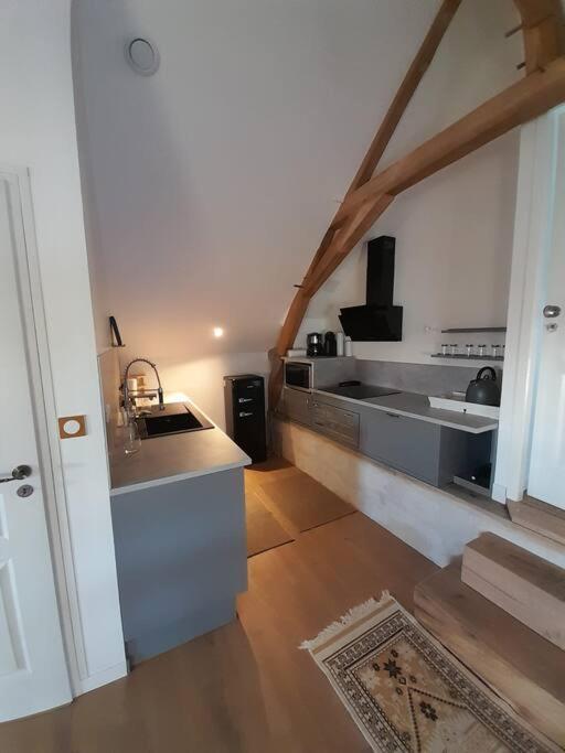 Apartament Le Repaire De Bacchus Saint-Nicolas-de-Bourgueil Zewnętrze zdjęcie